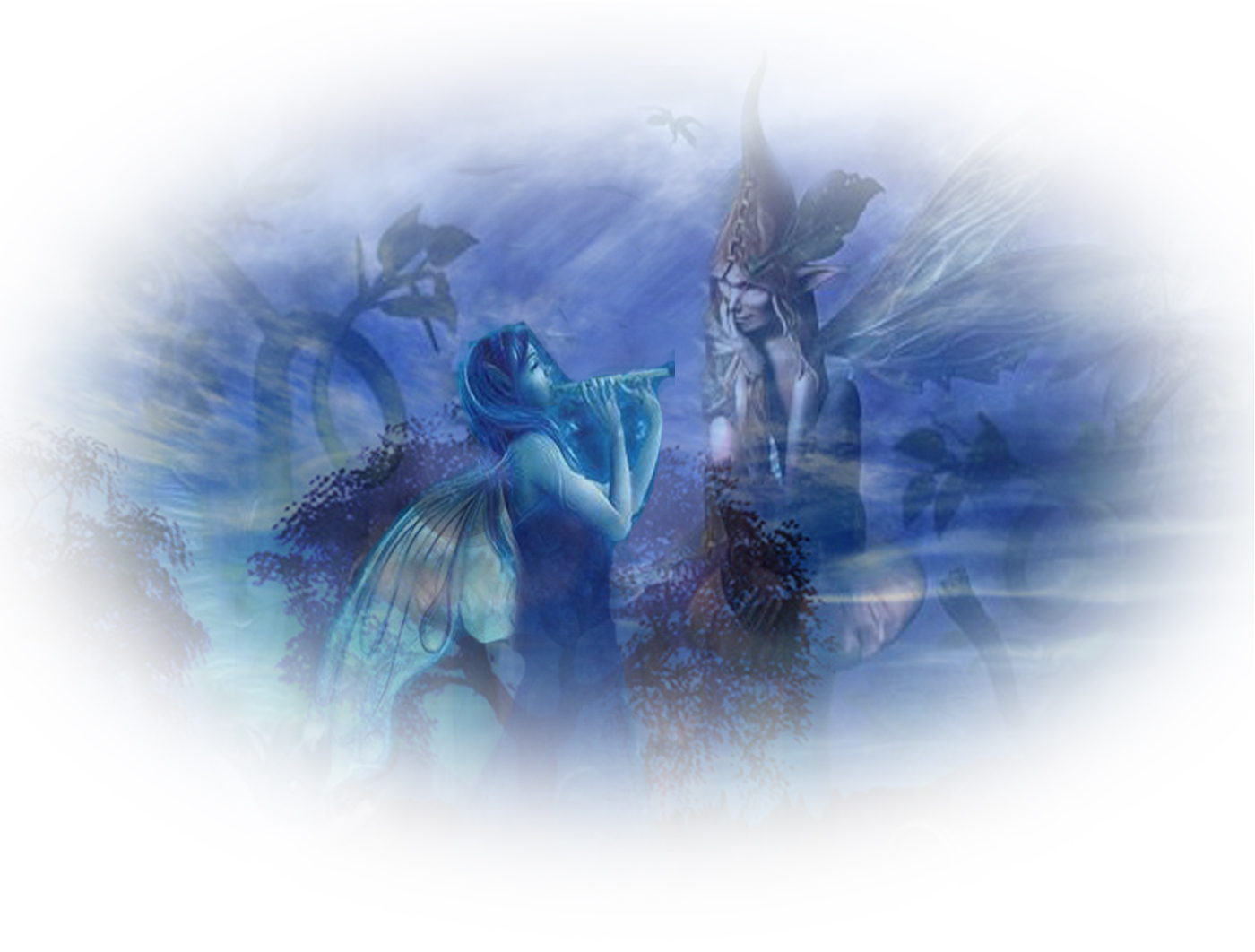 Silvina Vergara Claro de Luna Cd